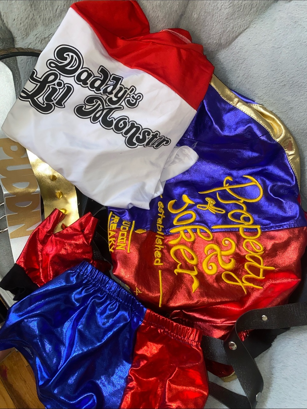 Harley Quinn Halloween Costume